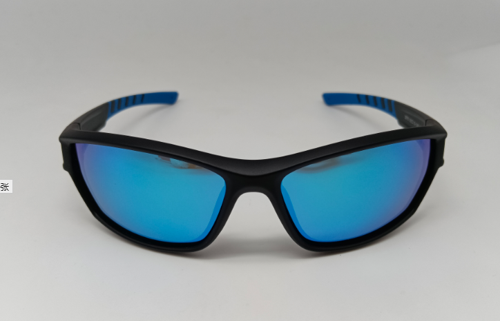 Current Polarised Sunglasses
