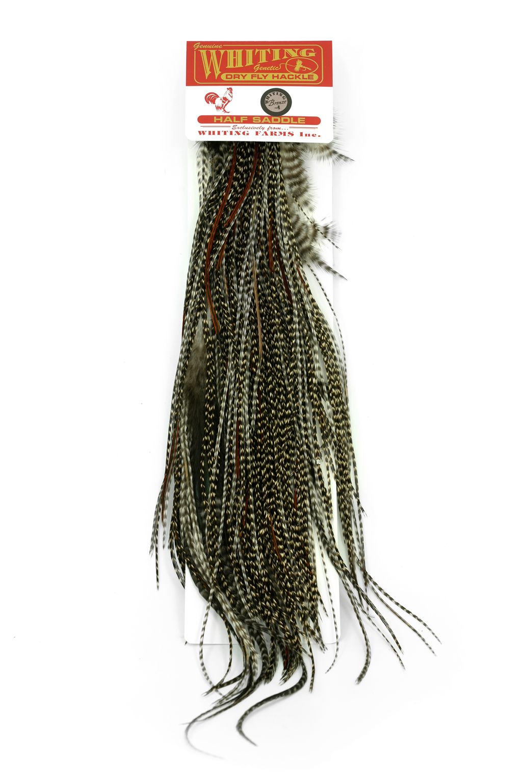 Whiting 1/2 Saddle Bronze