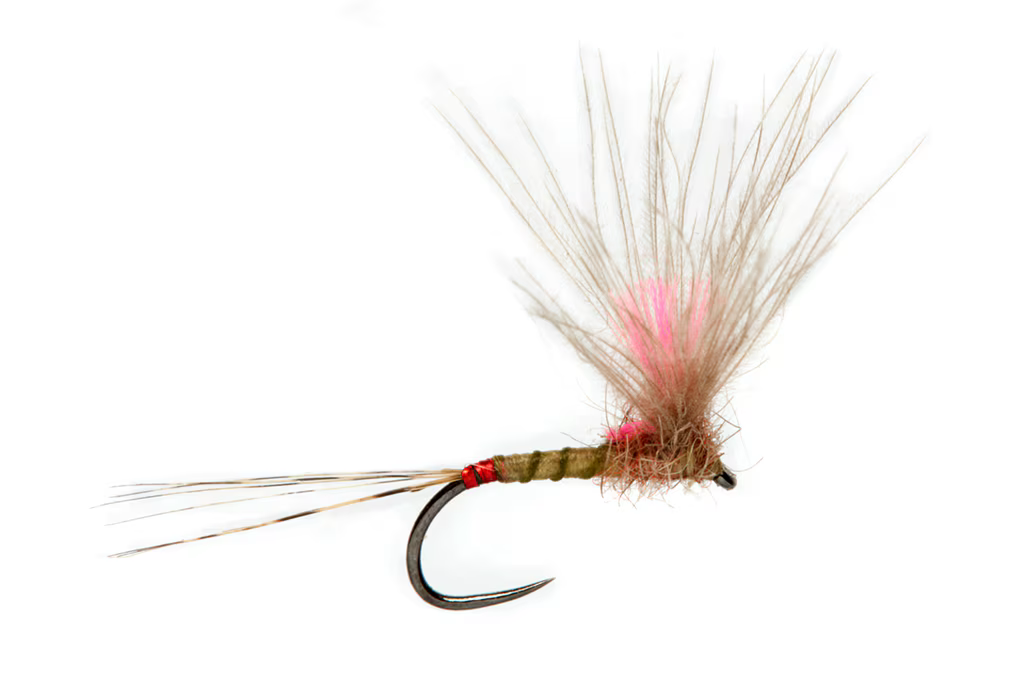 JUGLARET'S RED FLASH MAYFLY IMAGO
