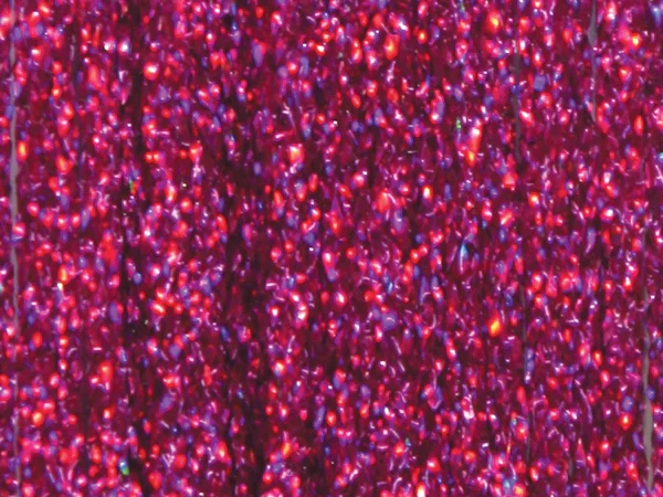 Frodin Flies - SSS Holo Braid