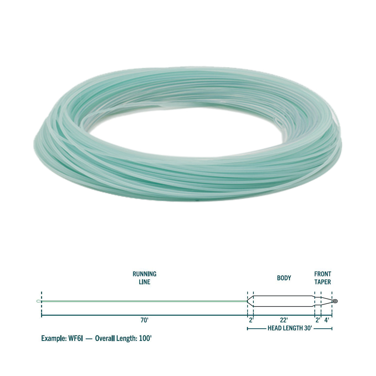 RIO PREMIER AQUALUX FLY LINE