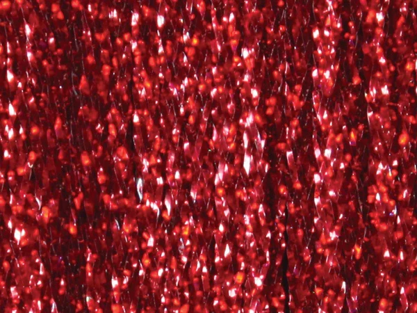 Frodin Flies - SSS Holo Braid