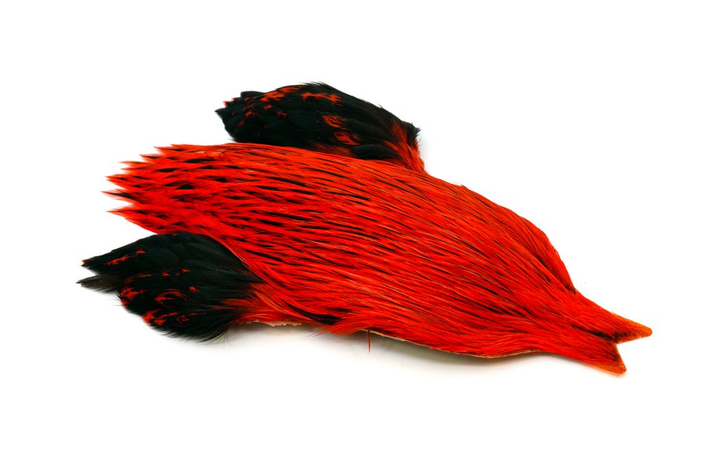 Whiting Brahma Rooster Badger Cape