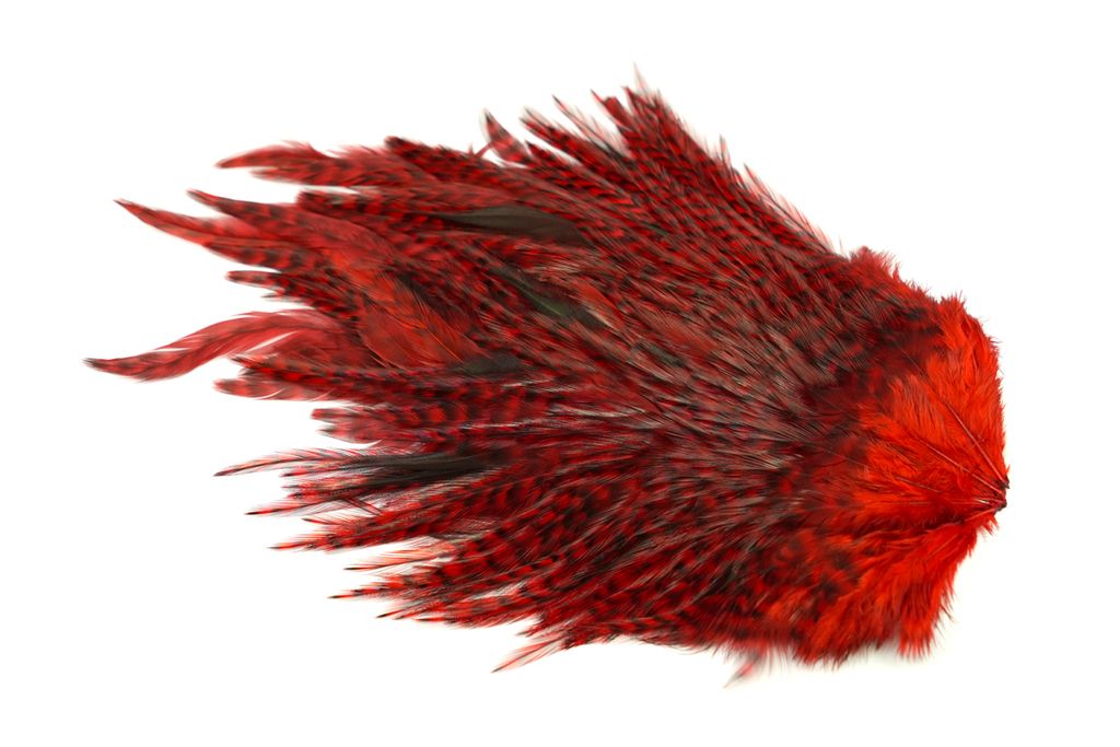 Whiting 4B Rooster Saddle