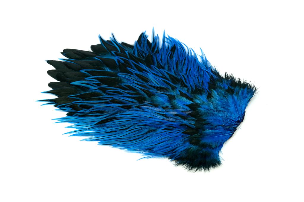 Whiting Brahma Rooster Saddle