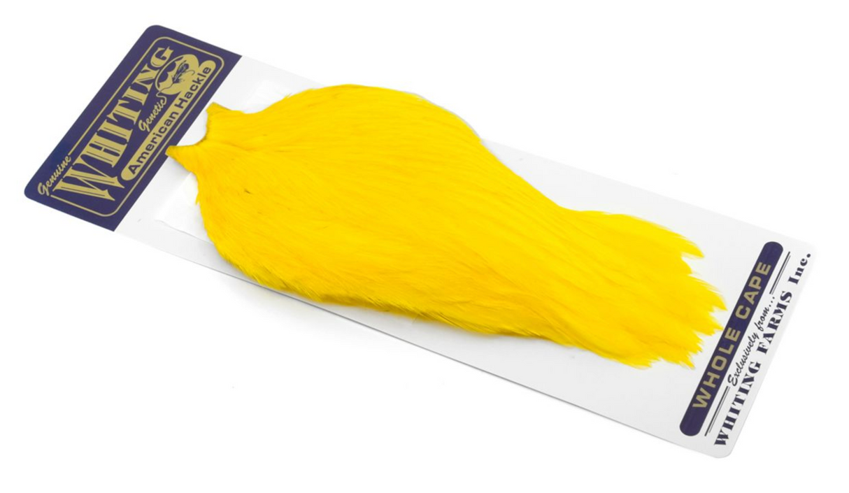 Whiting American Hen Cape