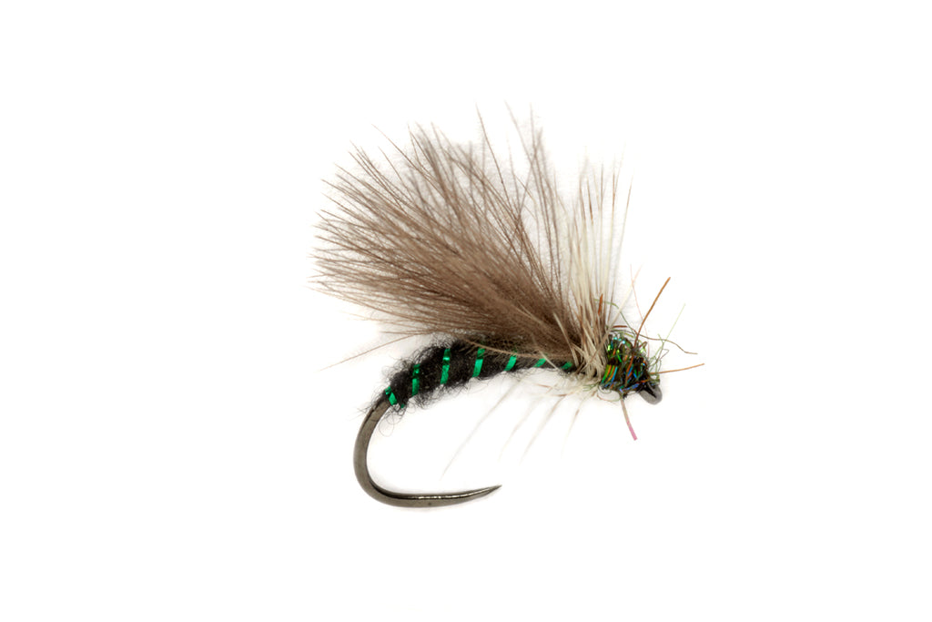 PROCTER'S CDC APT BARBLESS