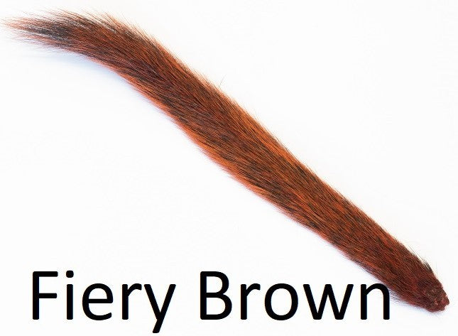 Grey Squirrel - Dyed