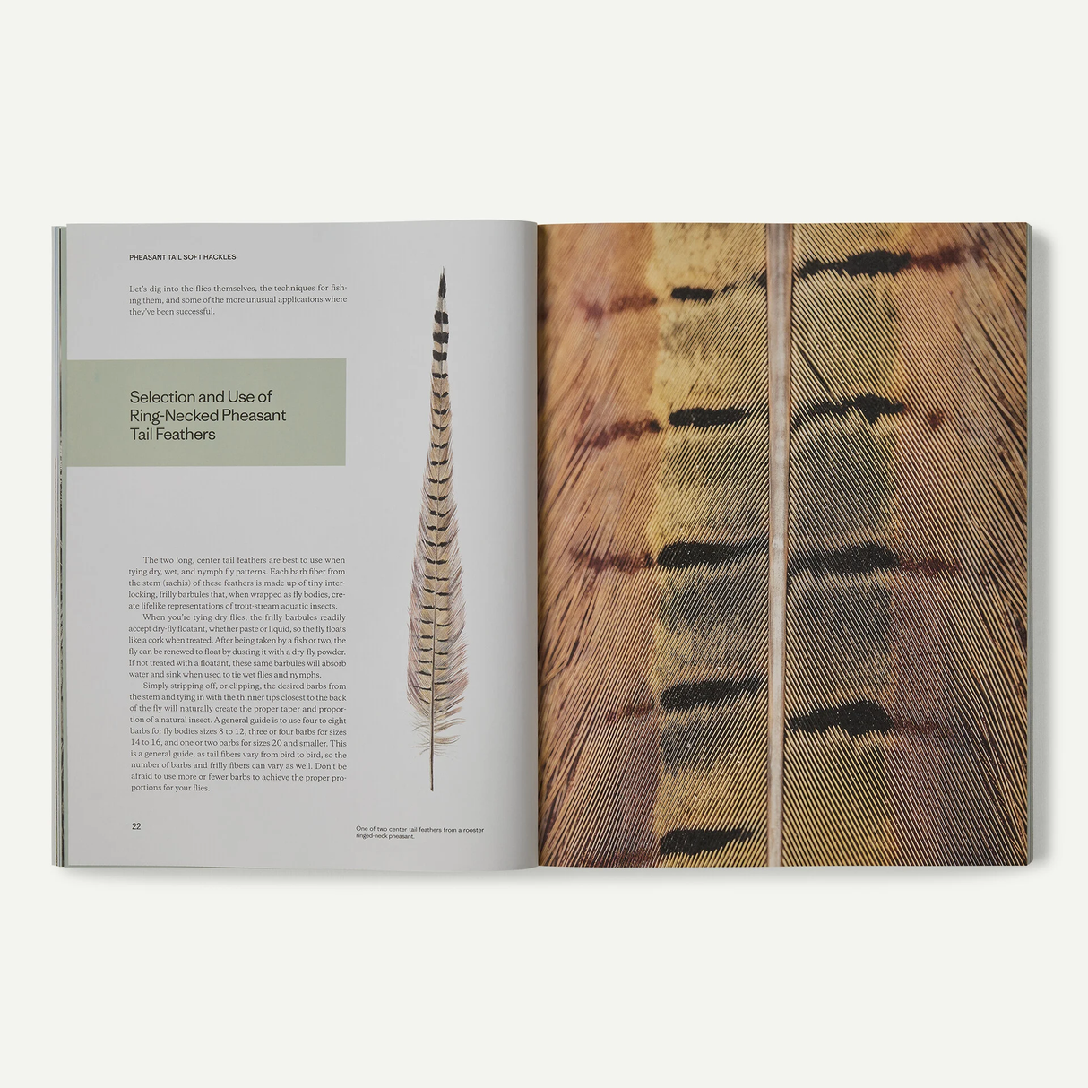 Pheasant Tail Simplicity: Recipes and Techniques for Successful Fly Fishing