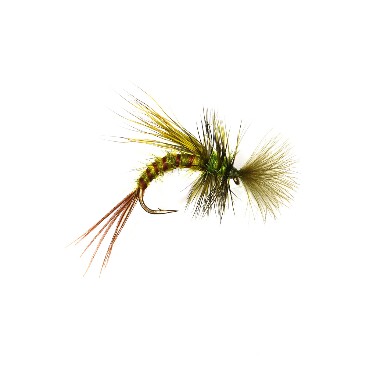 DH Mayfly Emerger - Greendrake