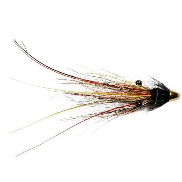 Pump House Shrimp Feeler Conehead