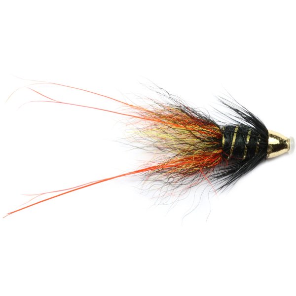 Willie Gunn Francis Conehead