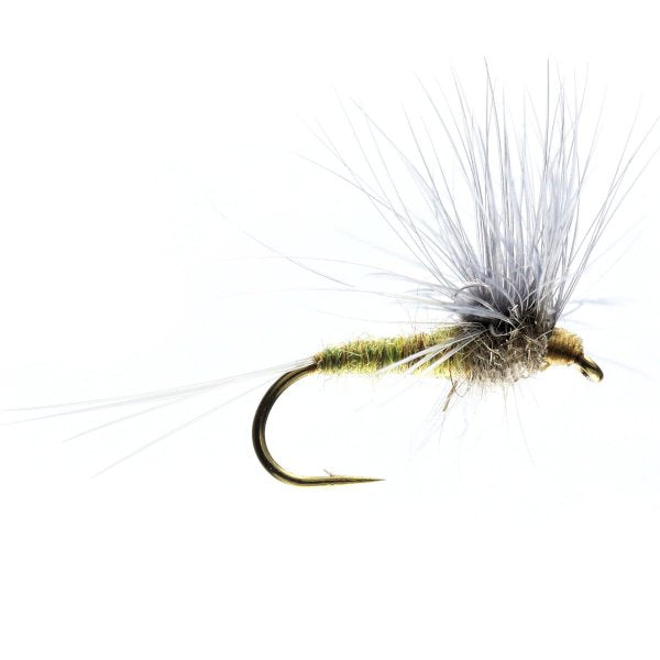 BWO Stacked Hackle