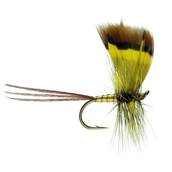 Conn Mayfly