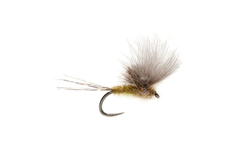 MCPHAIL CDC OLIVE BARBLESS
