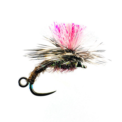 Clonanav Klink & Dink Barbless