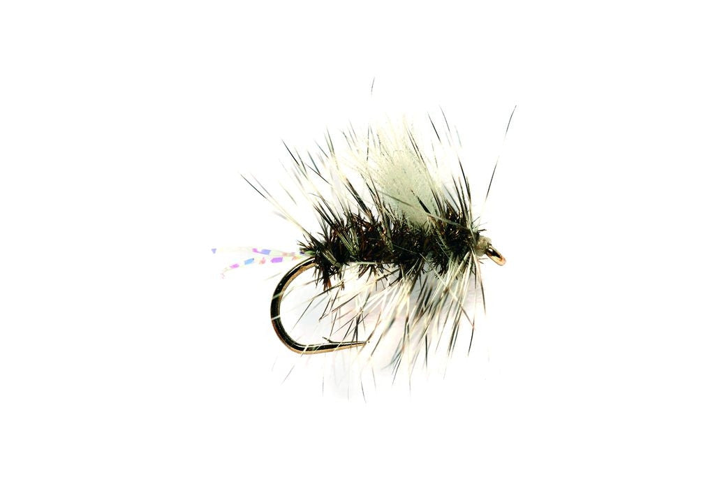 SPARKLE GNAT (CJ)