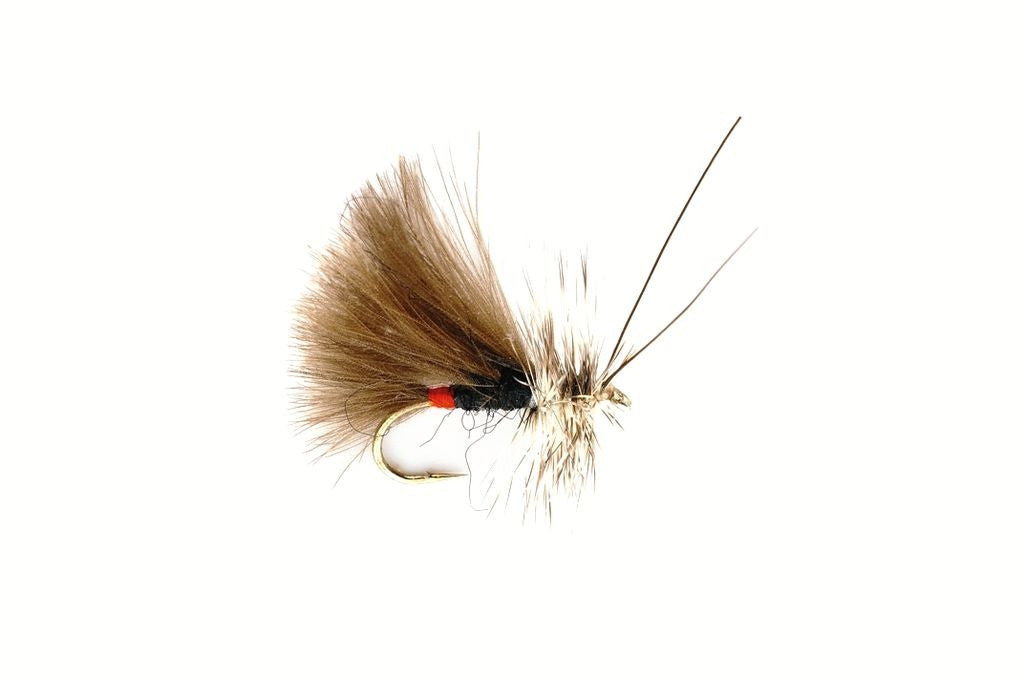 SEDGE HIGH RIDER CDC BLACK