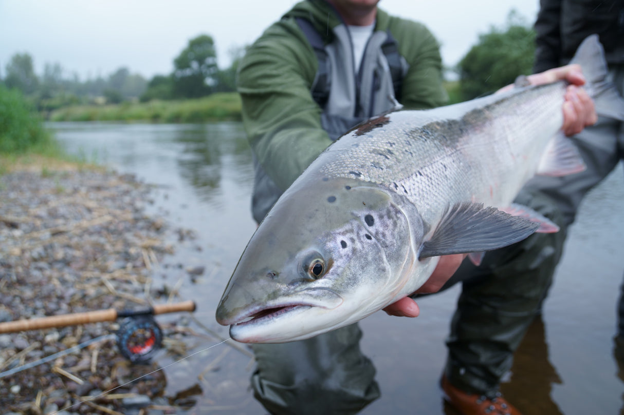 1 Day Spey Casting & Salmon Course 2026