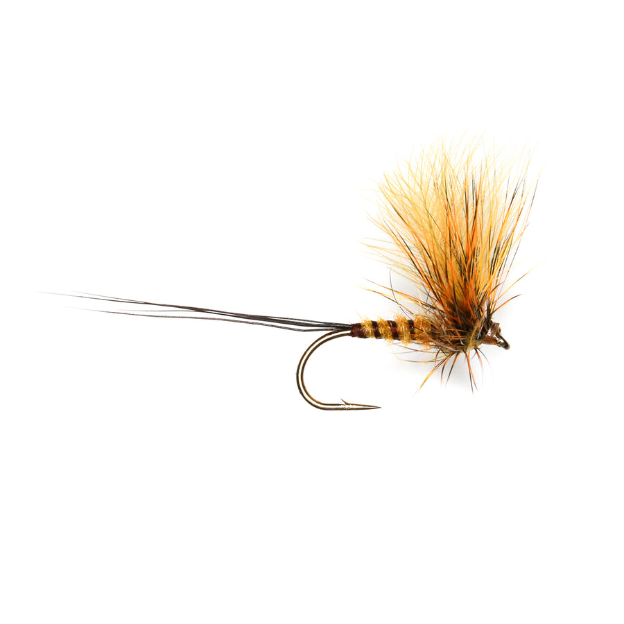 Mayflies Collection Mayflies – Clonanav Fly Fishing