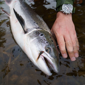 Salmon Gear