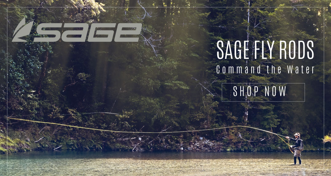 Sage