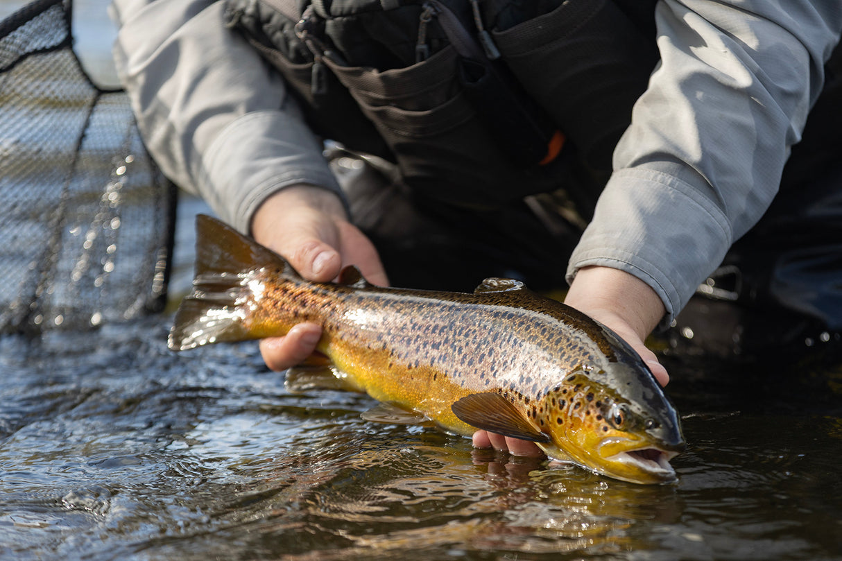 1 Day River Trout Fishing Fly Fishing School 2026