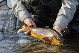 1 Day River Trout Fishing Fly Fishing School 2026