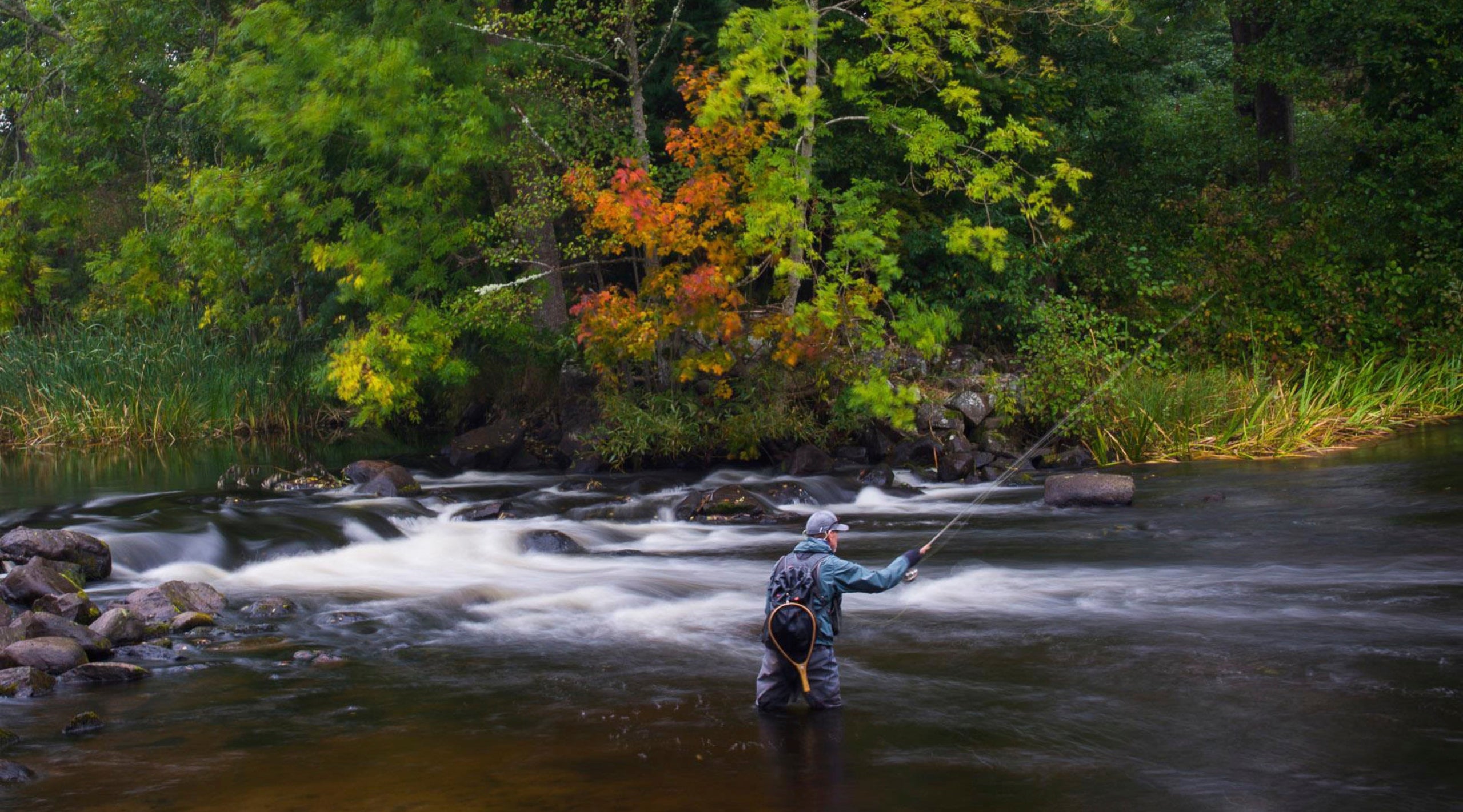 to Fly Fishing Ireland Guiding, Schools, Shop Fishing & More