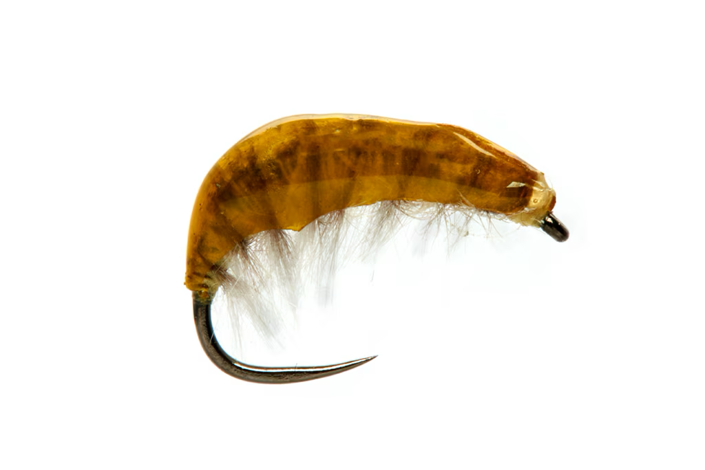 JUGLARET'S FRENCH GAMMARUS ORANGE