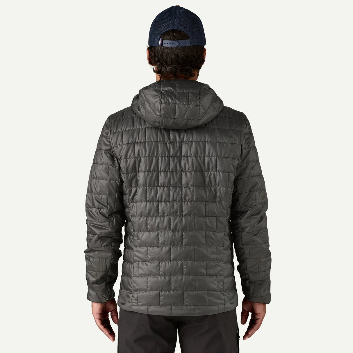 Patagonia Men's Nano Puff® Fitz Roy Trout Hoody