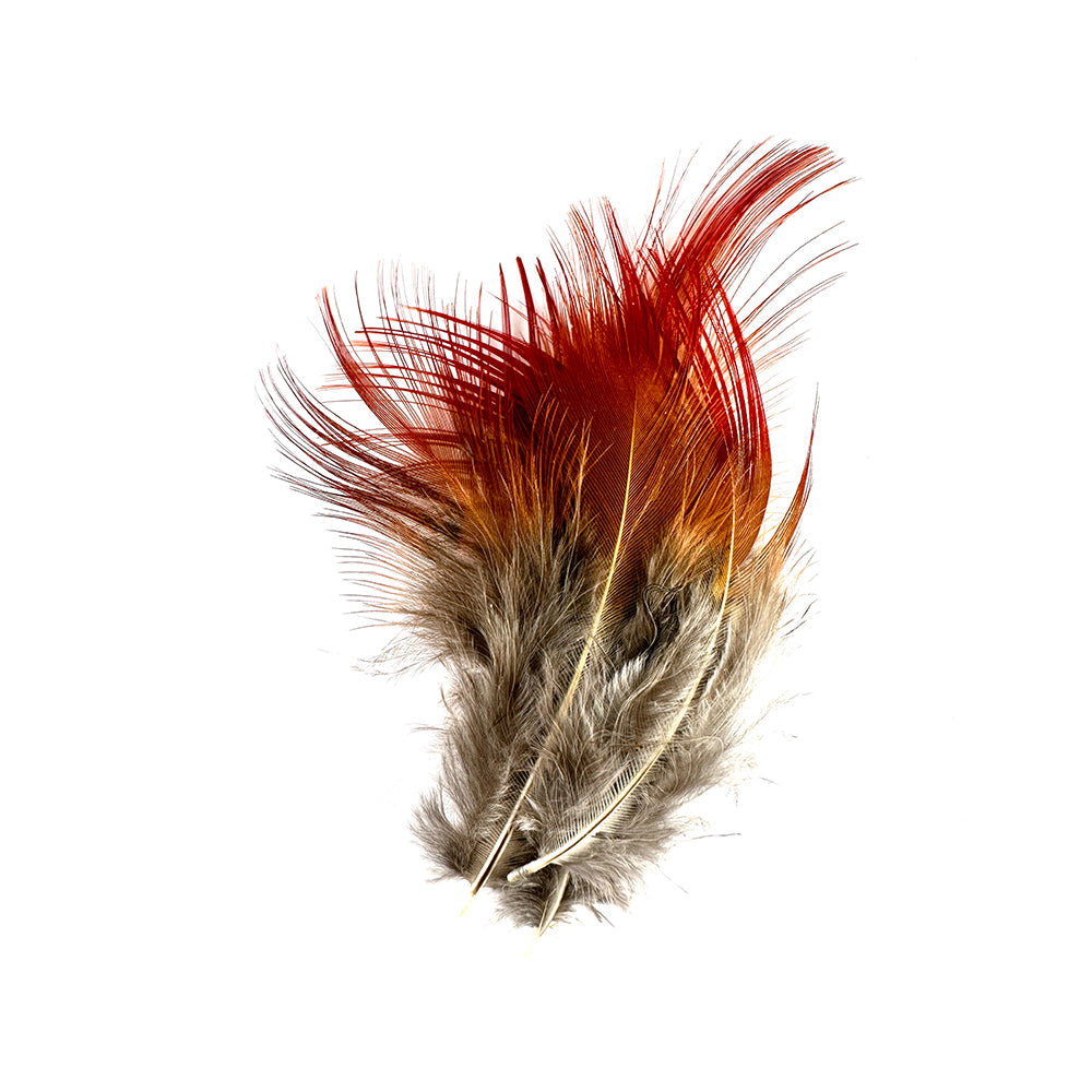 Limestone Golden Pheasant Body Feathers