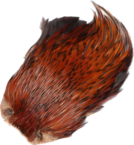 Veniard Indian Cock Capes