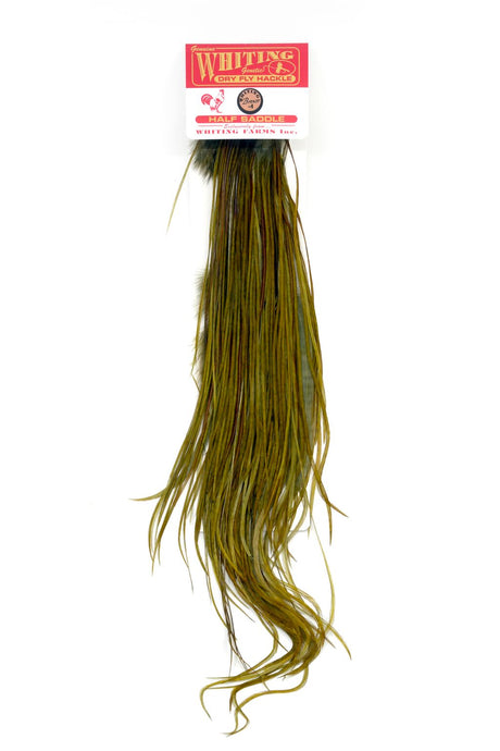 Whiting 1/2 Saddle Bronze