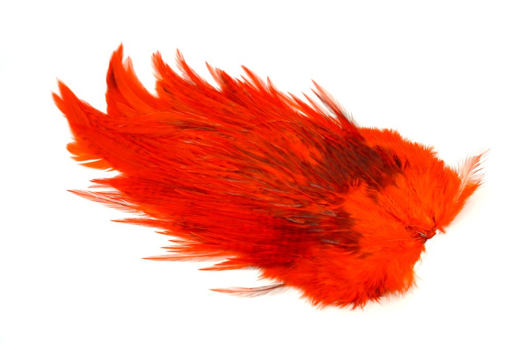 Whiting 4B Rooster Saddle