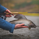 VISION NYMPHING HERO² FLY ROD