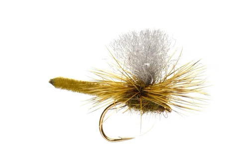 JACKIE'S OLIVE PALOMINO PARACHUTE