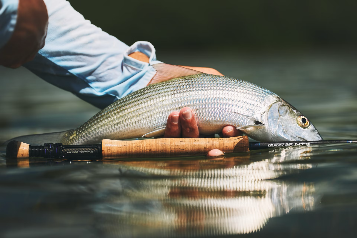 Guideline NT11 Saline