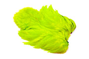 Whiting Rooster SH/C