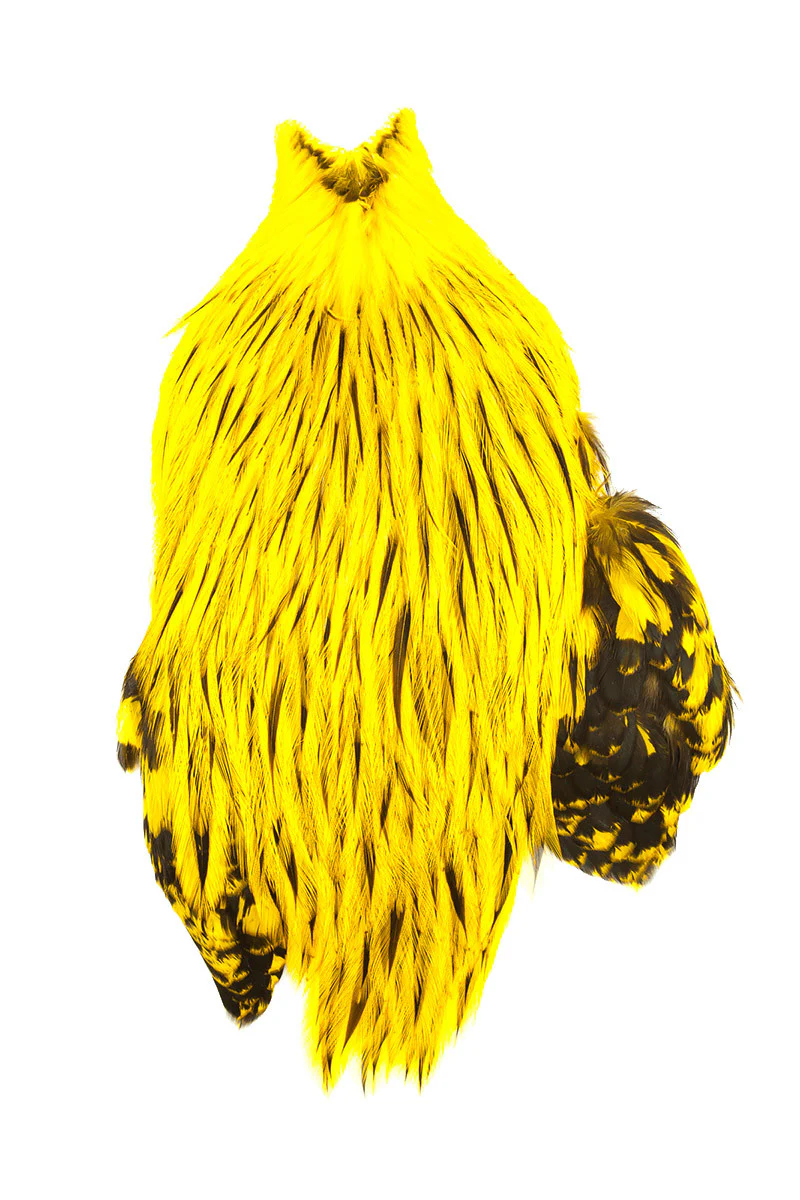 Whiting American Rooster Cape