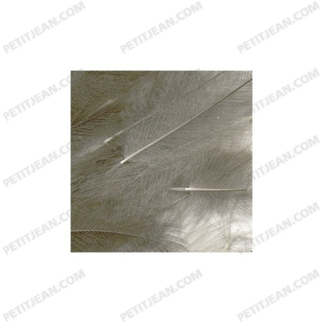 Marc Petitjean CDC Packs - 1g