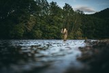 LOOP Z1 DOUBLE-HAND ROD