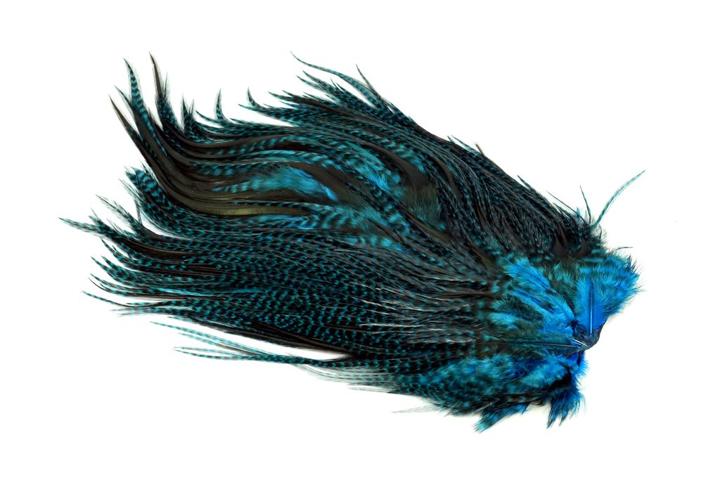 Whiting 4B Rooster Saddle