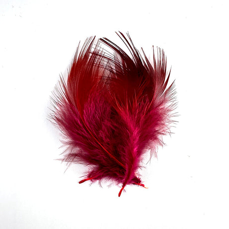 Limestone Golden Pheasant Body Feathers