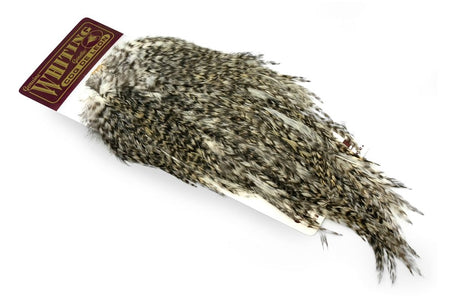 Whiting Coq de Leon Bronze Saddle