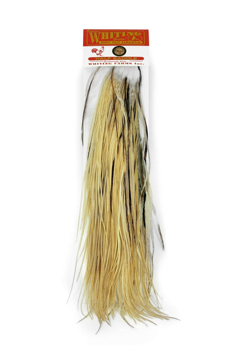 Whiting 1/2 Saddle Bronze