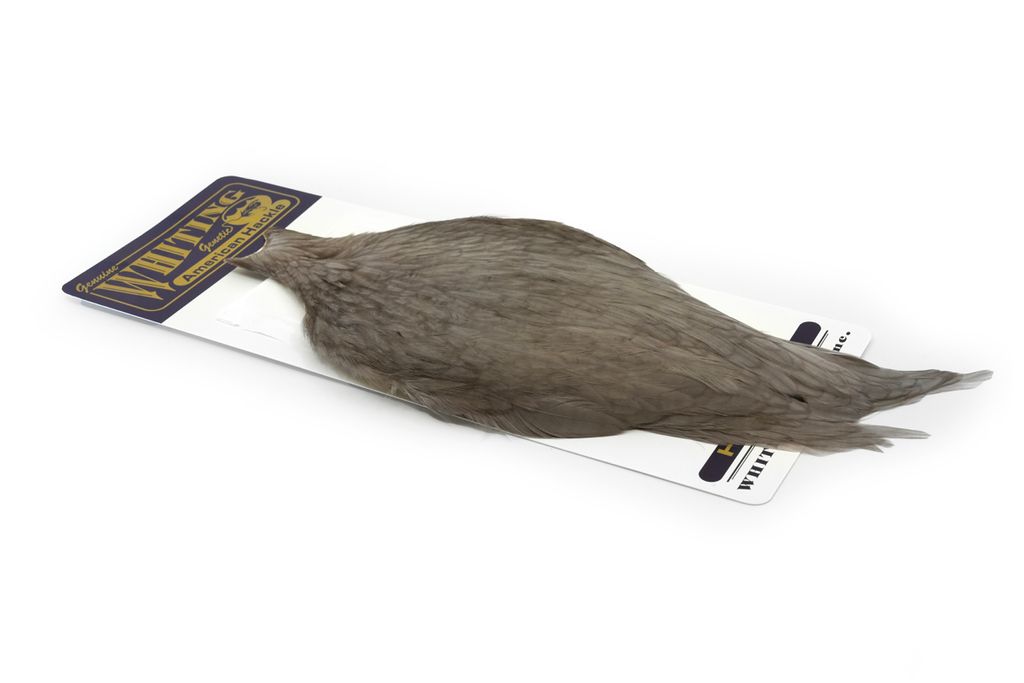 Whiting American Hen Cape