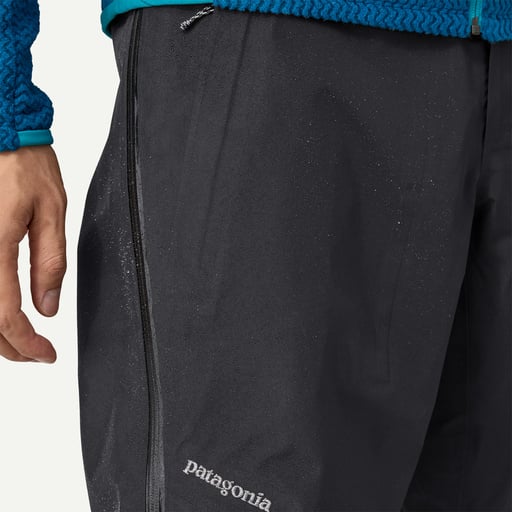 Patagonia Men's Triolet Gore-Tex Pants