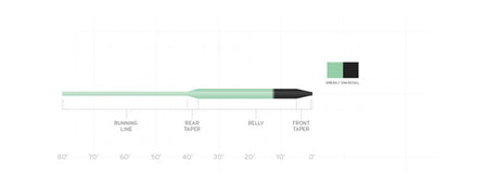 Scientific Anglers Wet Cel - Sink Tip