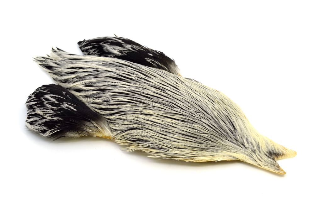 Whiting Brahma Rooster Badger Cape